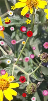 Vibrant wallpaper featuring yellow and red flowers with green foliage background.