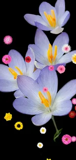 Blue and yellow flowers on a black background wallpaper.