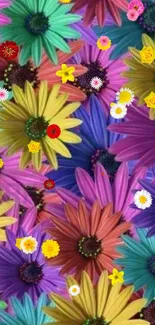 Colorful floral wallpaper with vibrant daisies in purple, yellow, and pink hues.