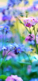 Vibrant pink and blue flowers in full bloom.