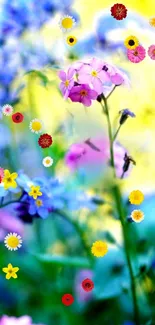 Vibrant floral phone wallpaper with colorful wildflowers.