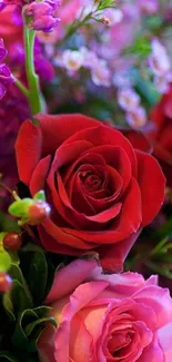 Vivid floral wallpaper showcasing red and pink roses.