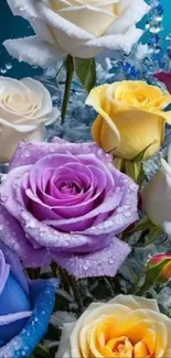 Vibrant roses with dewdrops on petals creating a colorful display.
