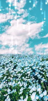 A vibrant field of blue flowers under a bright blue sky with fluffy white clouds.