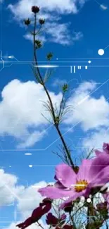 Vibrant flowers blooming against a bright blue sky with scattered clouds.