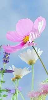 Vibrant flowers bloom against a clear blue sky.