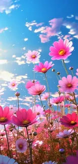 Colorful flowers beneath a bright blue sky wallpaper.