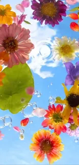 Colorful flowers floating against a blue sky.