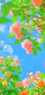Vibrant floral wallpaper with blue sky and colorful blooms.