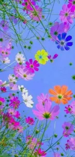 Colorful flowers against a bright blue sky in a vibrant mobile wallpaper.