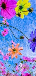 Vibrant floral sky wallpaper with colorful flowers and blue sky.