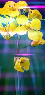 Yellow flowers with neon light effects wallpaper.