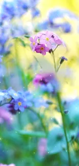 Vibrant floral wallpaper with colorful spring flowers and light bokeh background.