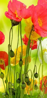 Vibrant spring flowers on a green background wallpaper.