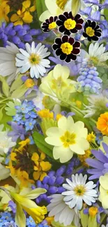 Vibrant spring mobile wallpaper with various colorful flowers.