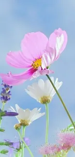 Vibrant pastel flowers against a light blue sky background.