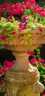 Vibrant floral stone planter with pink blossoms