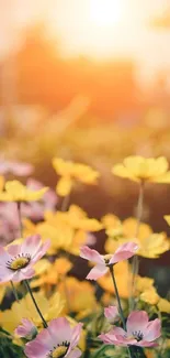 Lush pink and yellow flowers under a vibrant sunrise.