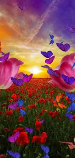Vibrant sunset over a field of poppies with two tulips in the foreground.