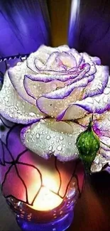 Artistic wallpaper with a white rose in a purple vase.