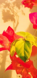 Vibrant floral wallpaper with red and green leaves on a sunny background.