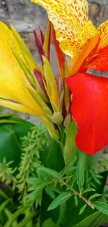 Vibrant red and yellow flowers with green leaves