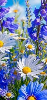 Close-up of blue and white flowers under sunny sky.