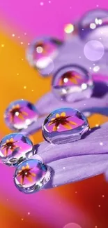 Closeup of water droplets reflecting flowers on vibrant pink petals.