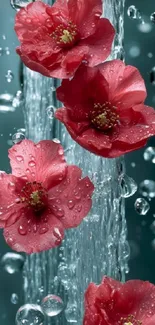 Vibrant red flowers cascading with water on a wallpaper.