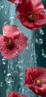 Serene red flowers with water droplets on a teal backdrop.