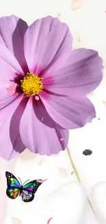 Purple flower with butterfly on soft background.