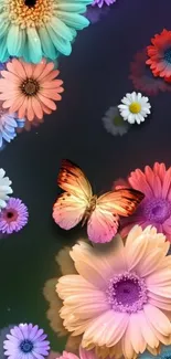 Vibrant butterfly and colorful flowers wallpaper with dark background.