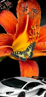 Orange flower with butterfly and sports car mobile wallpaper.