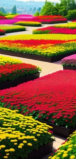 Vibrant flower beds with colorful blooms in a lush garden setting.