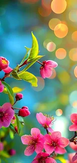 Vibrant pink flowers with bokeh background