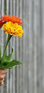 Hand holding vibrant flowers against rustic wood.