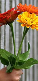 Vibrant bouquet with red, orange, and yellow flowers against a natural background.