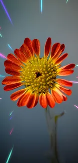 Vibrant red-orange flower with neon streaks on a mobile wallpaper.