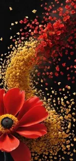 Red flowers burst against black background.