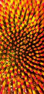 Close-up of vibrant orange flower petals.