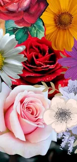 Vibrant flower collage with roses and daisies on a black background.