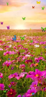 Pink flowers and butterflies during sunset.