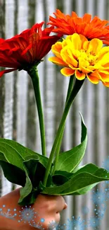 Bright flowers held against a textured background with blue accents.