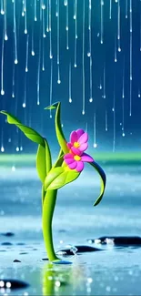 A vibrant flower thriving in gentle rain.