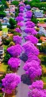 A vibrant flower-lined street with blooming pink trees, creating a stunning view.