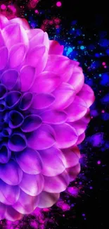 Vibrant purple flower with neon splashes on dark background.