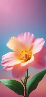 A vibrant pastel flower with gradient background.