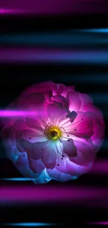 Abstract neon flower with glowing purple and pink hues on a dark background.