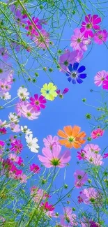 Colorful flowers with a bright blue sky in the background, creating a vibrant scene.