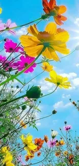 Colorful flowers against a bright blue sky with shining sun.